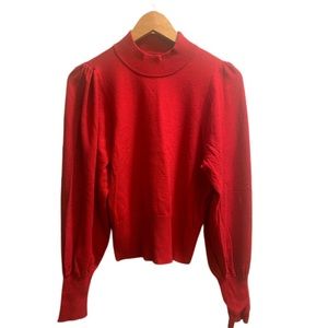 EXPRESS Turtle Neck Sweater